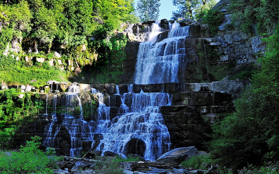 waterfalls between green leaf trees at daytime HD wallpaper
