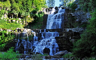 waterfalls between green leaf trees at daytime