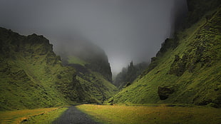 green mountains, nature, mist, landscape, dirt road