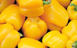 yellow bell pepper HD wallpaper