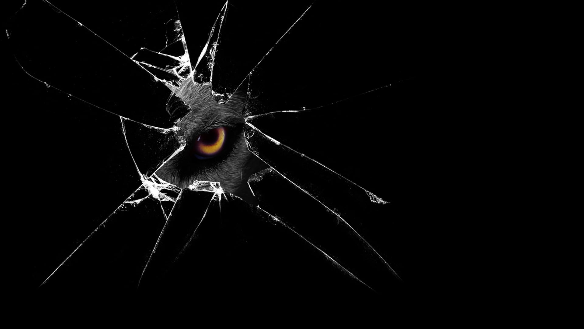 1125x2436 resolution | eye wallpaper, eyes, spies, creature, black ...