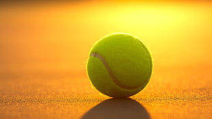 green tennis ball, macro, tennis balls HD wallpaper