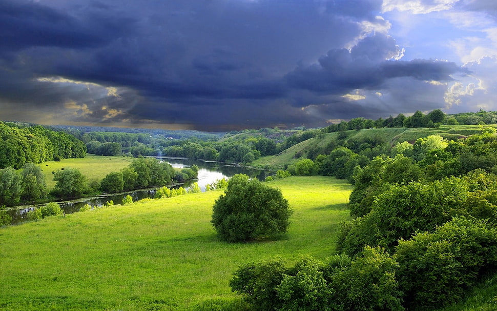 green field during daytime HD wallpaper