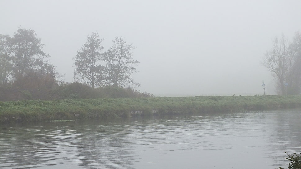 river near grass field photo, landscape, water, mist HD wallpaper