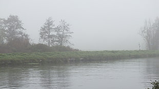 river near grass field photo, landscape, water, mist