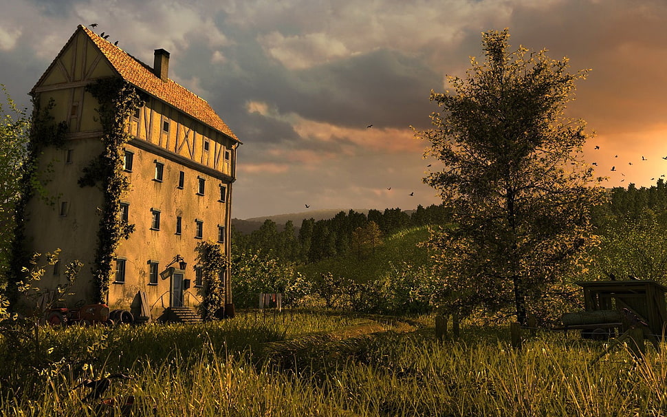 building surrounded by grass during cloudy day HD wallpaper