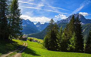 green grass, nature, landscape, mountains, Alps