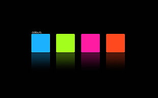 four orange, purple, green, and blue colors HD wallpaper