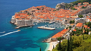 white-and-brown concrete buildings, Dubrovnik, sea, cityscape, Croatia HD wallpaper