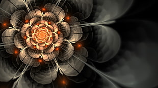 brown and orange rose illustration, digital art, fractal flowers, abstract, fractal