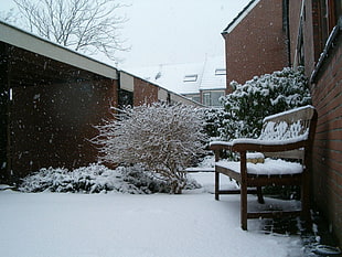 brown wooden bench covered by snow near brown bare plant