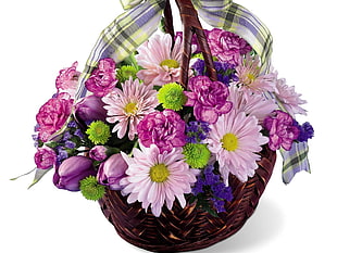 pink and purple flowers in basket