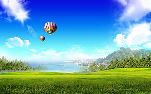 two Hot Air Balloons flying on top of green forest