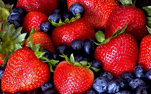 Strawberries and blueberries HD wallpaper