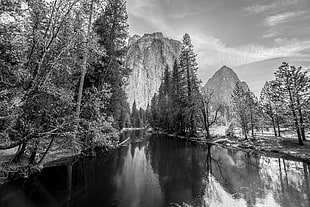 grayscale photo of trees, mountains, and lake