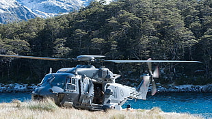 gray military helicopter, military, helicopters, soldier, Royal New Zealand Air Force