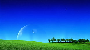 trees, grass field, and planets illustration, landscape