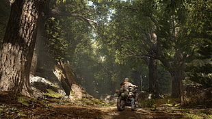 person riding motorcycle on rainforest HD wallpaper