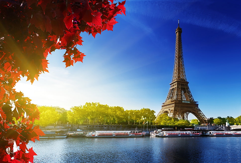 Eiffel Tower, Paris, Eiffel Tower, Paris, sunlight, water HD wallpaper