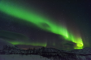 Aurora Borealis, lofoten HD wallpaper
