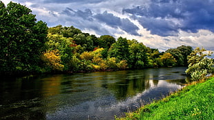 landscape photo of trees near body of water during daytime HD wallpaper
