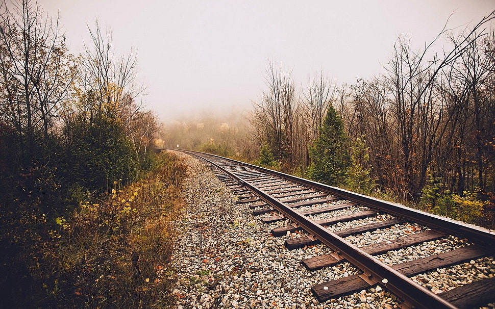 gray metal train rail, landscape, sun rays, railway, trees HD wallpaper