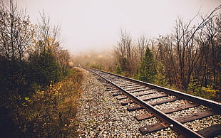 gray metal train rail, landscape, sun rays, railway, trees