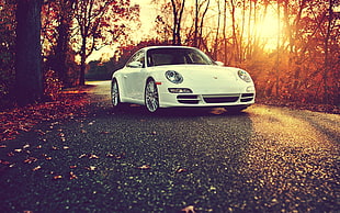 white sports coupe, Porsche  Cayman, white, fall, sunset