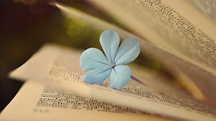 blue petaled flower on opened book