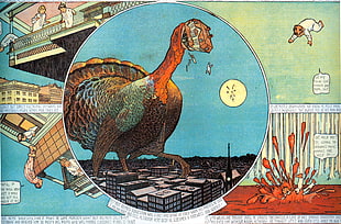 red, teal, and green turkey illustration, Little Nemo