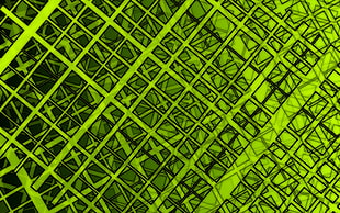black and green illustration