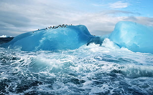 water waves, penguins, sea, ice, ice berg
