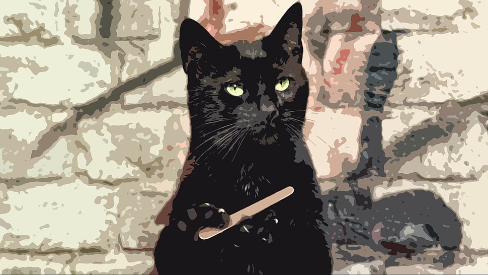 black cat painting, cat, black cats, animals, humor HD wallpaper
