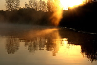 body of water and withered trees, nature, sunset, sunlight, reflection