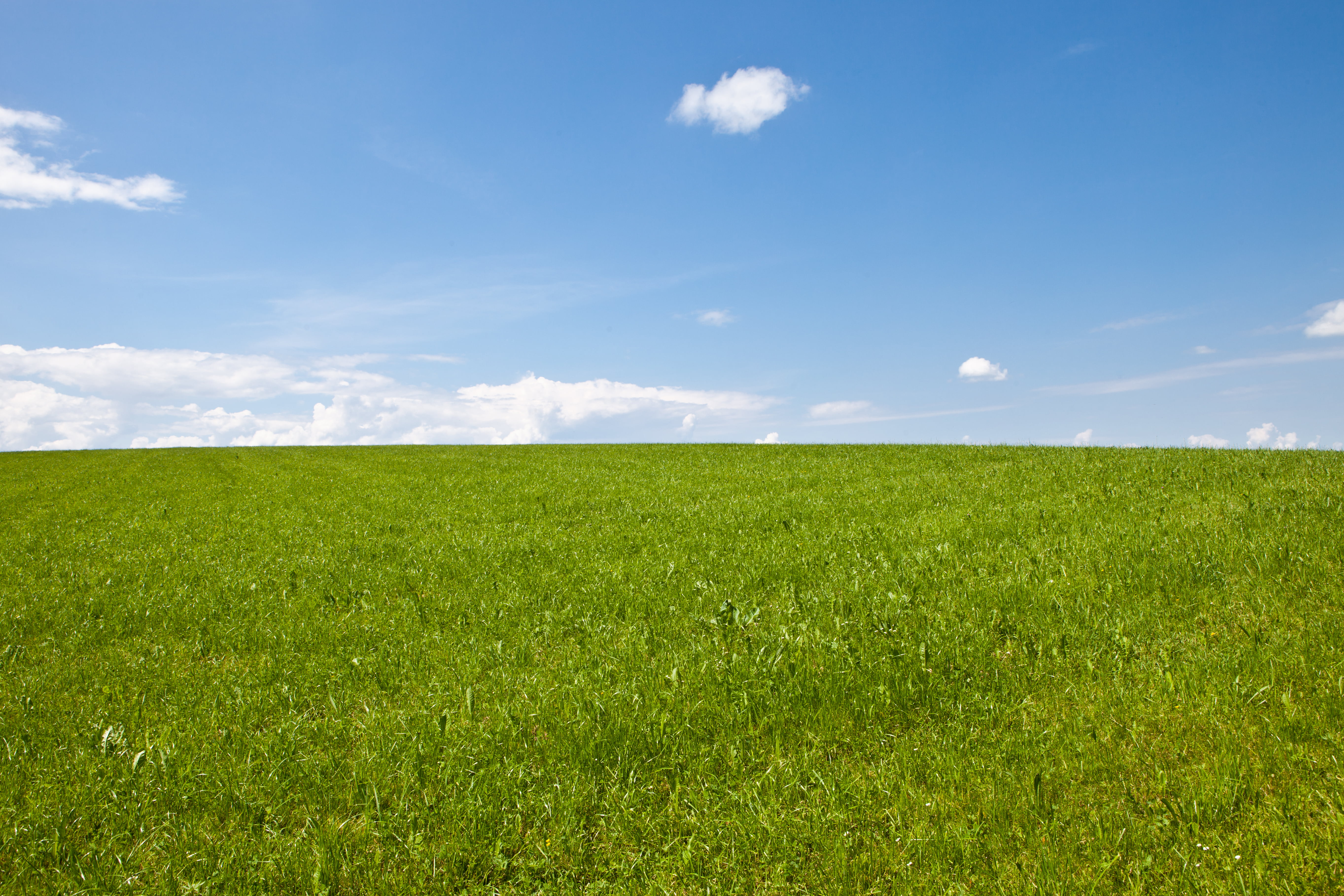 Green grass field with stratus clouds, wiese HD wallpaper | Wallpaper Flare