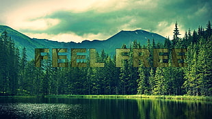 green trees near lake, forest, freedom, text