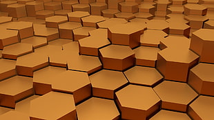 brown octagon frame