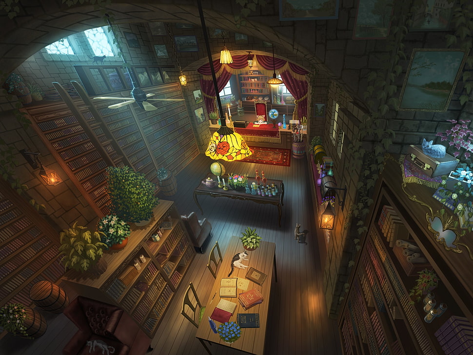 rectangular brown wooden table, library, fantasy city HD wallpaper