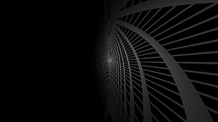 grey and black illustration