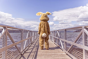 brown rabbit mascot on gray dock