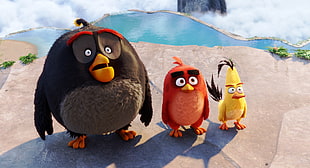 Angry Birds movie