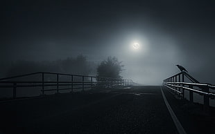 grayscale photo of metal railing, bridge, dark, Moon, crow