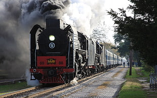 black and red train, steam locomotive