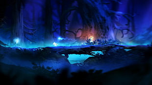 dark forest with fairies illustration, fantasy art, Ori and the Blind Forest HD wallpaper
