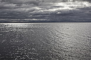 greyscale photography of sea