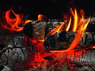 burning charcoal, fire, wood