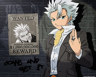 Hitsugaya Tousirou of One Piece 3D wallpaper