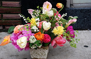 assorted flower arrangement HD wallpaper