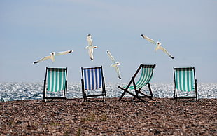 assorted lounge chairs HD wallpaper
