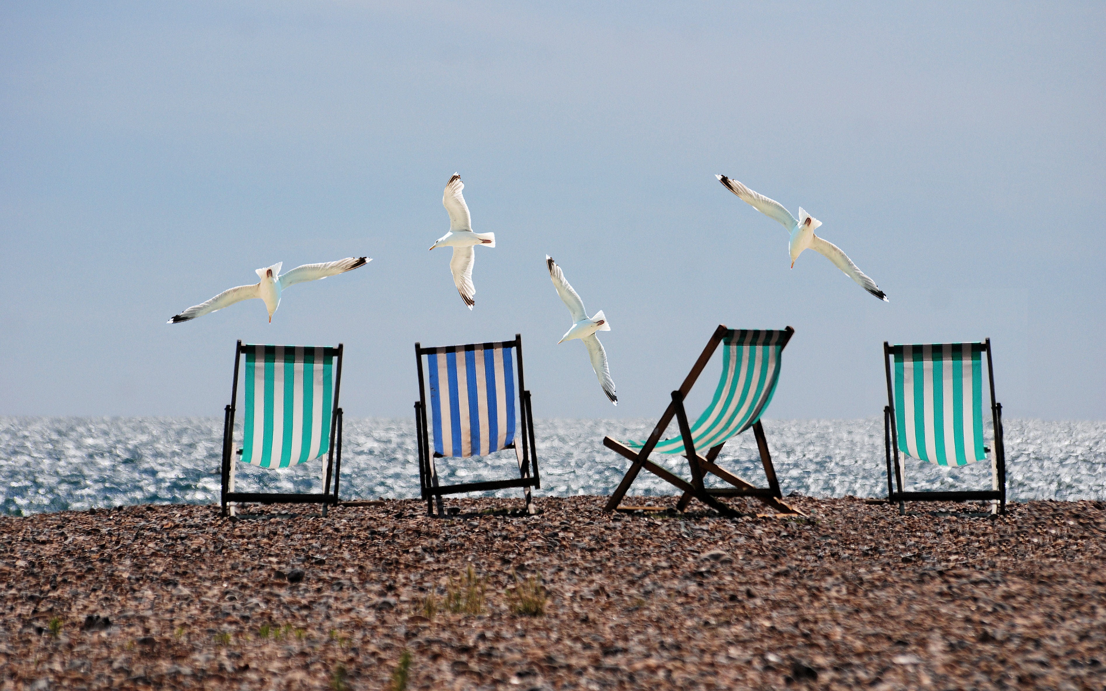 assorted lounge chairs